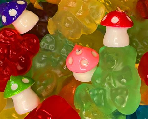 The Rise of Magic Mushroom Gummies: A Cultural Shift